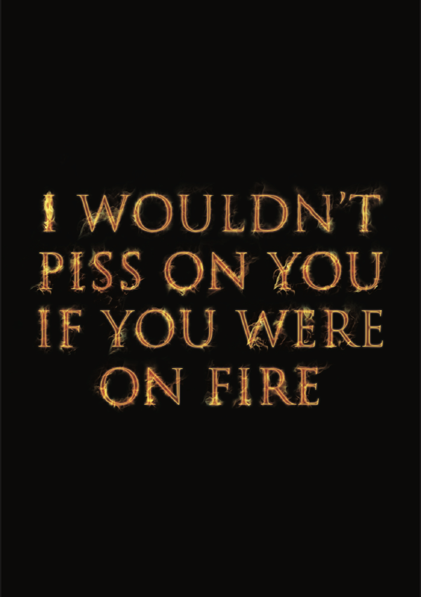 I wouldn't piss on you if you were on fire