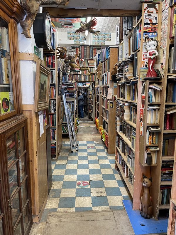 NOW THIS A BOOK SHOP · 2022 · ♥ 38